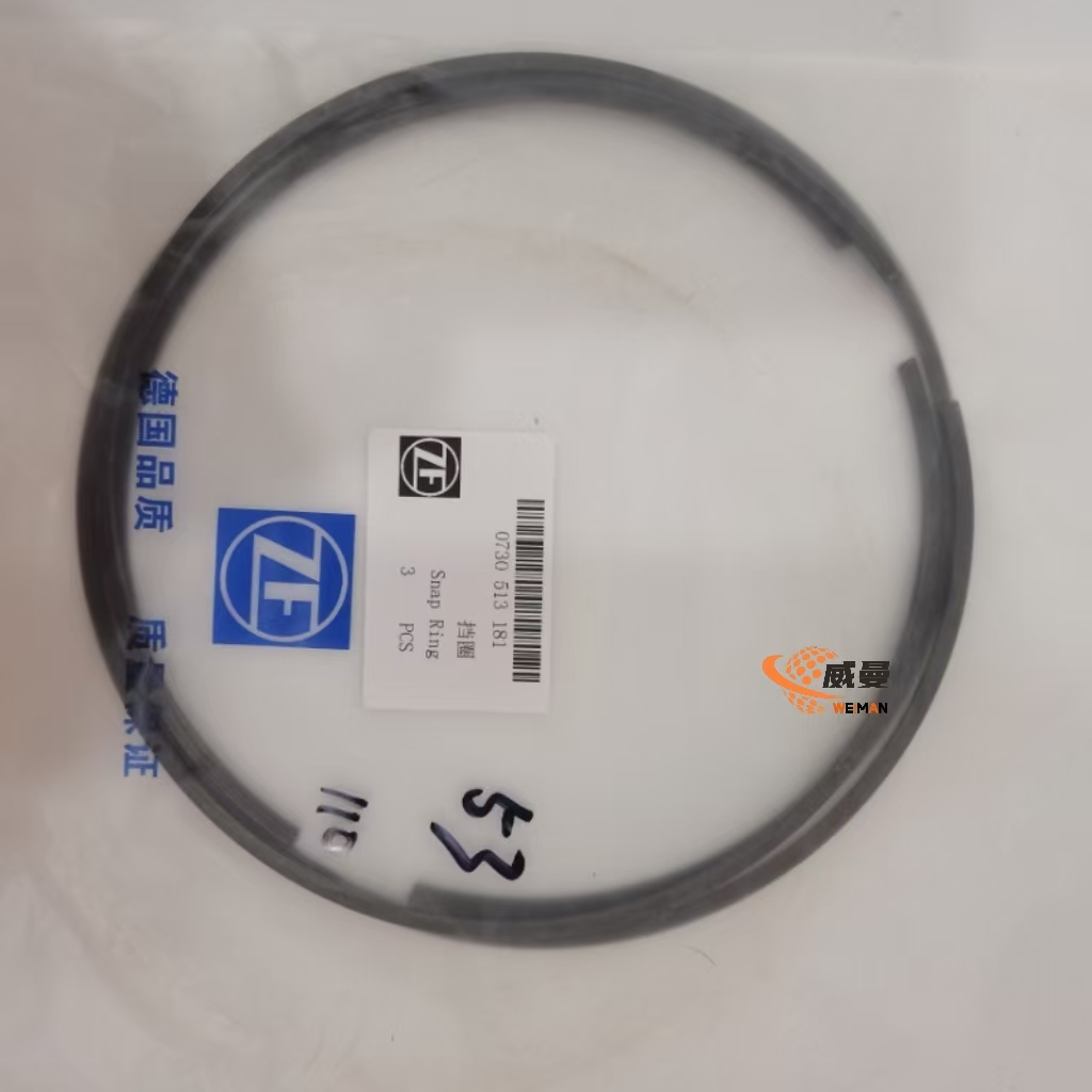 0730513456 SP100193 ZF.0730513456 retaining ring