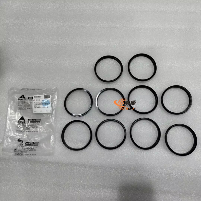 SDLG 4120001739096 Sealing ring FY50.05 for LG Machinery with good price