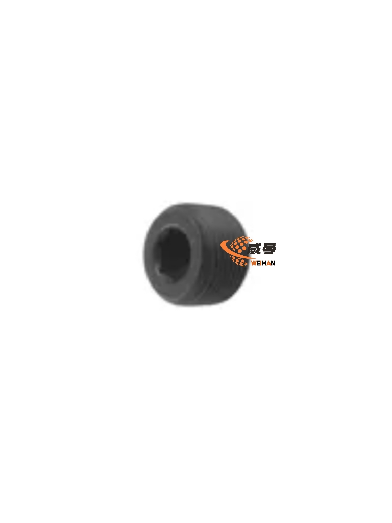 The 29070012481 Plug FOR SDLG LG953 WHEEL LOADER
