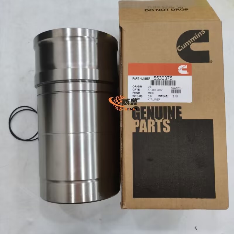 Cummins Solenoid 3974947 0.9kg for machine with Good Quality