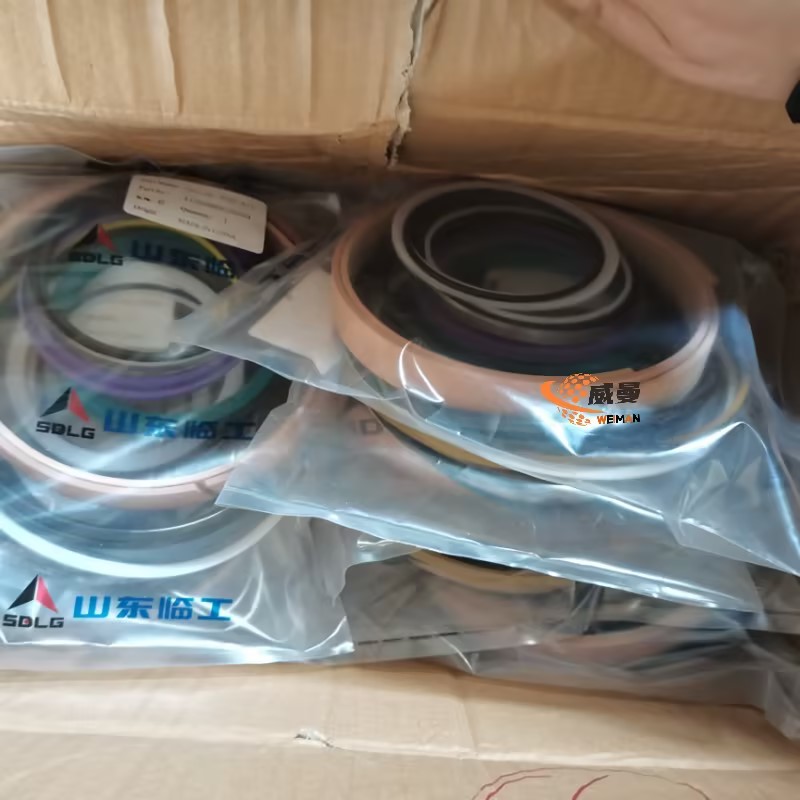 SDLG Seal kit 4120006628004 for LG Wheel Loader with good price