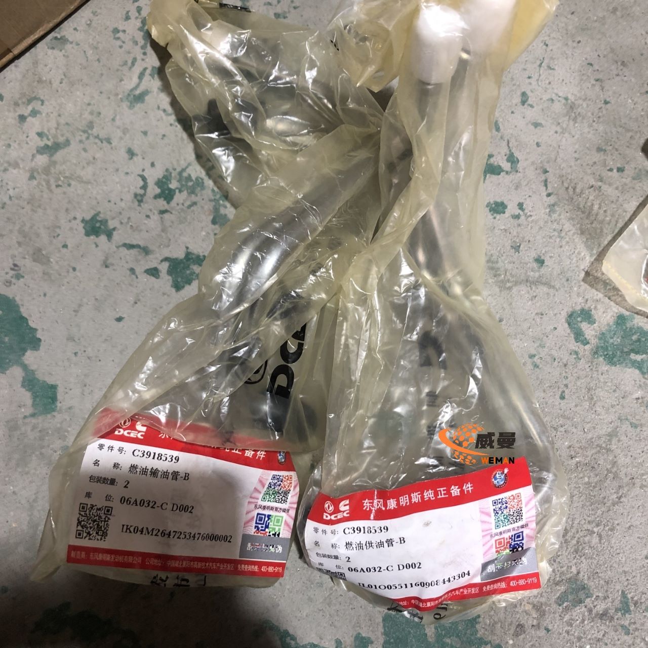 C3918539 Fuel delivery pipe