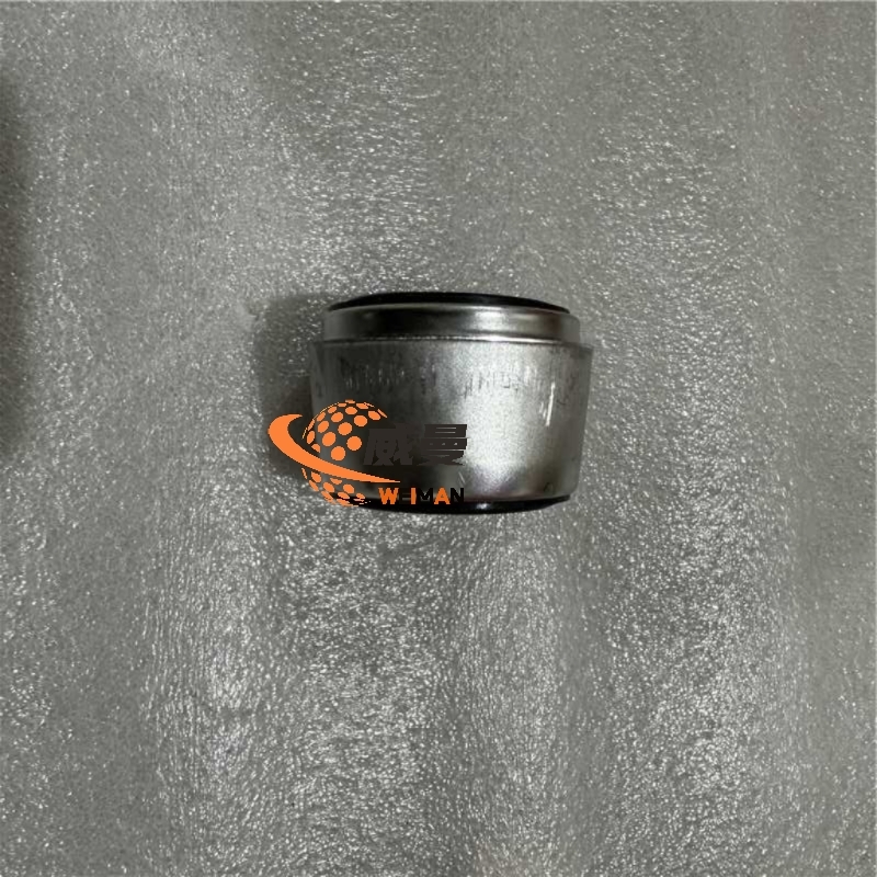 Shantui 60070-78-00022  FILTER BRETHER ELEMENT for machine with Good Quality and Price